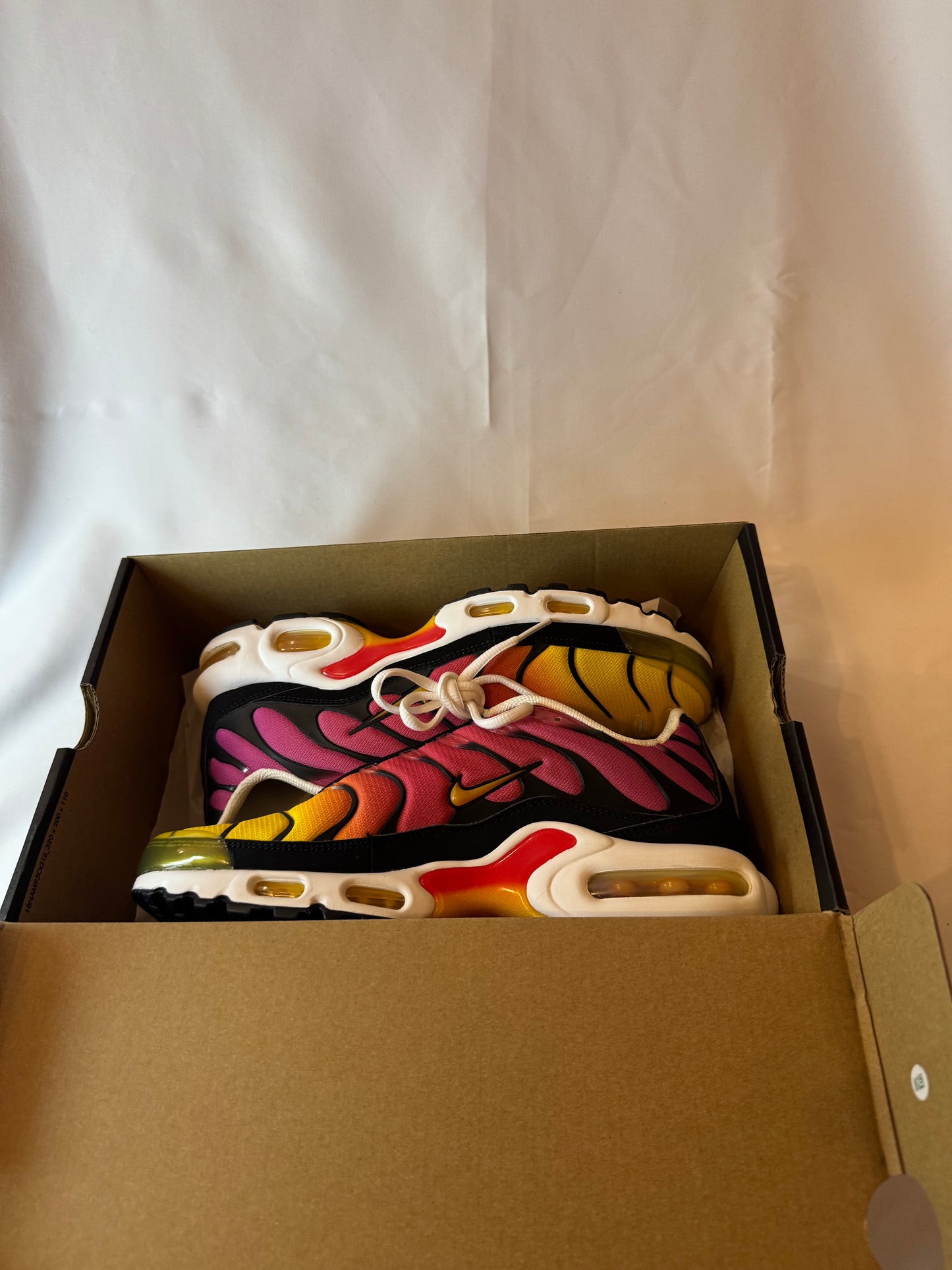 Nike Air Max Plus OG Rainbow (39/41)