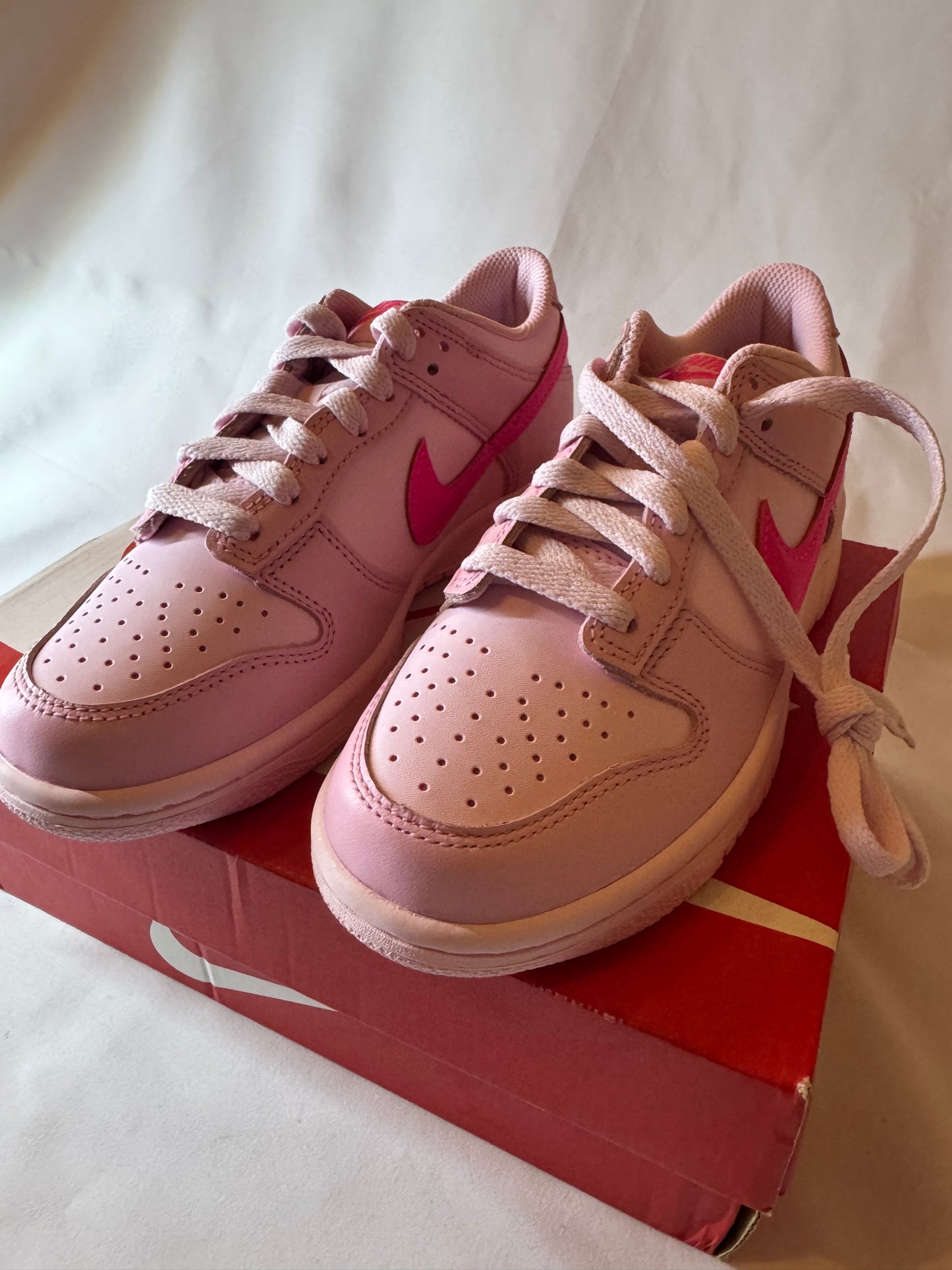 Nike Dunk Low Barbie (36)