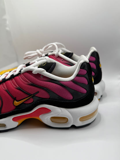 Nike Air Max Plus OG Rainbow (39/41)