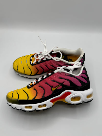Nike Air Max Plus OG Rainbow (39/41)